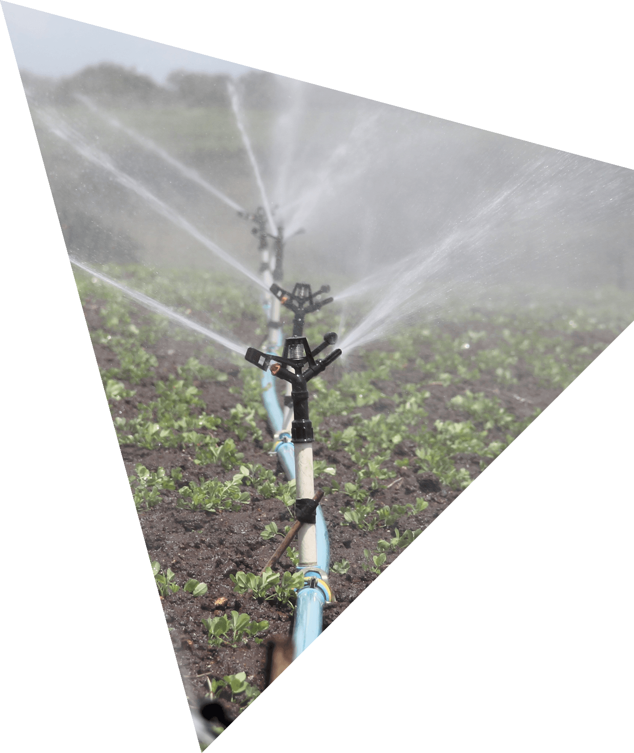 img-callback https://aquatechshaza.com/wp-content/uploads/2023/04/img-callback.png