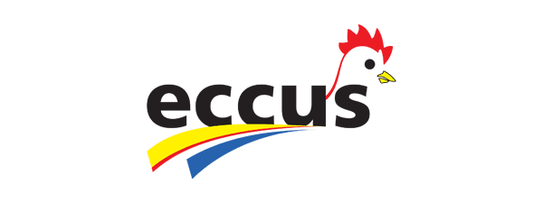 pollo Eccus